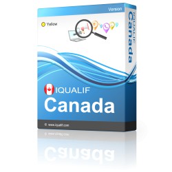 IQUALIF Canada Gul, Professionelle